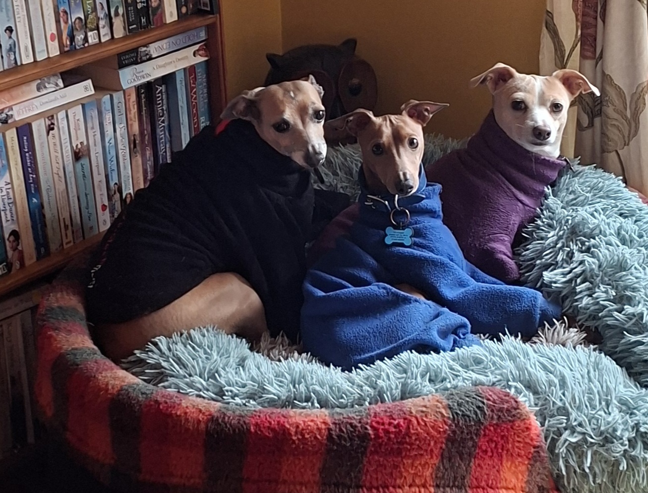 Michelle Cherrington